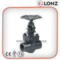 ANSI A105 Socket Weld Forged Steel Globe Valve